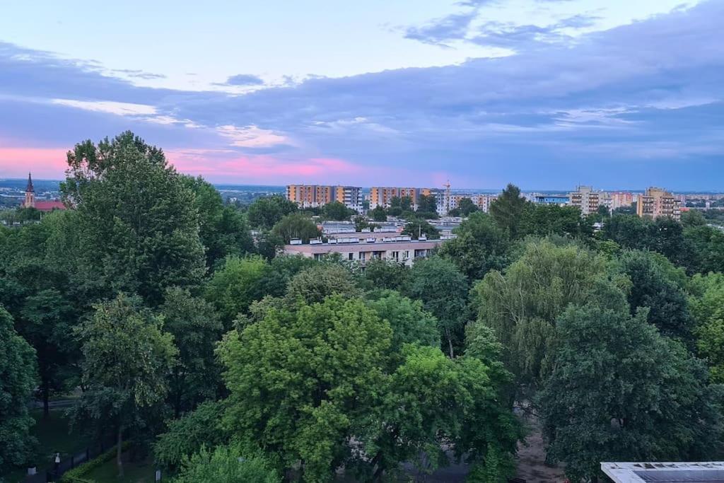 Uroczy, Jasny Apartament Oraz Bezplatny Parking! Cracóvia Exterior foto