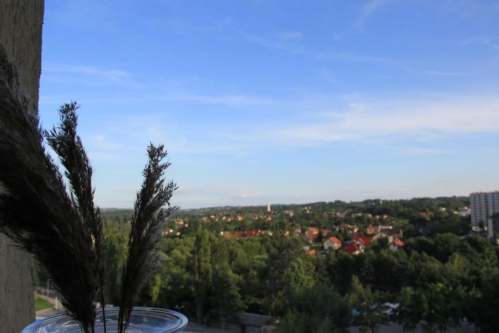 Uroczy, Jasny Apartament Oraz Bezplatny Parking! Cracóvia Exterior foto