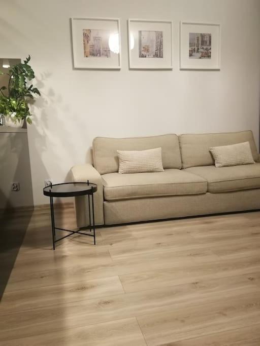 Uroczy, Jasny Apartament Oraz Bezplatny Parking! Cracóvia Exterior foto